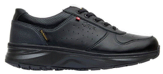 歩くだけで体が整う 魔法の健康シューズの秘密